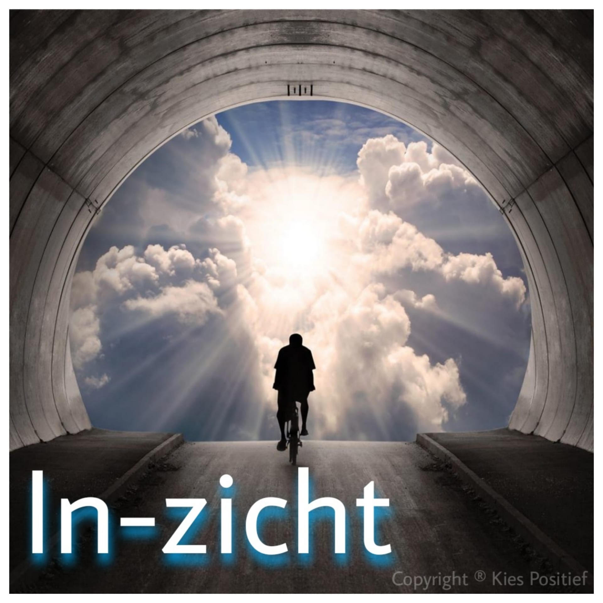 Logo In-Zicht
